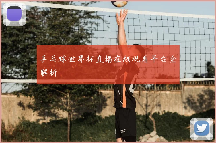 乒乓球世界杯直播在线观看平台全解析