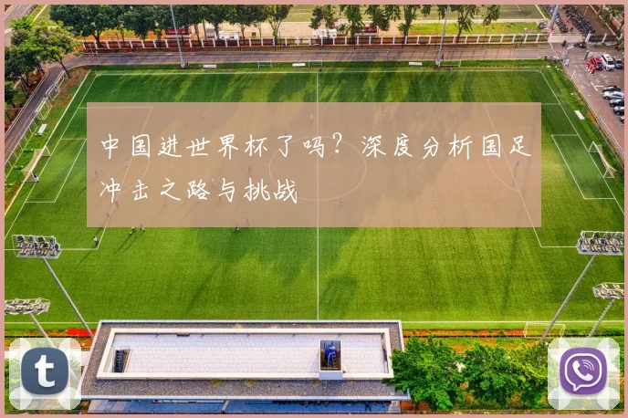 中国进世界杯了吗?深度分析国足冲击之路与挑战